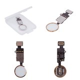 Шлейф для iPhone 7, iPhone 8, iPhone SE 2020, кнопки Home, золотистый, с пластиком, без сканера отпечатков пальцев (без Touch ID), universal